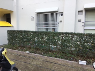 大阪で剪定が必要な際は【二鷹造園土木】～生垣の刈り込み・部分的な枝の剪定もお任せ～